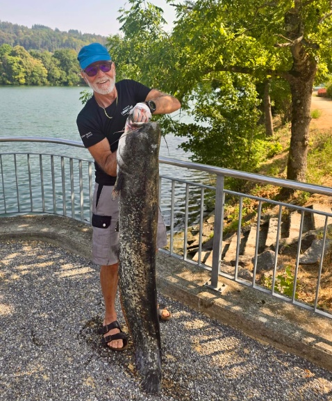 Mit einem Köderfisch konnte Ueli diesen kapitalen Wels (155 cm / 30 kg) überlisten. Gefangen am Vormittag des 30.07.2026 in Sisseln.